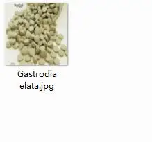 300 шт. набор гастродия высокая - Цвет: 300 Gastrodia elata