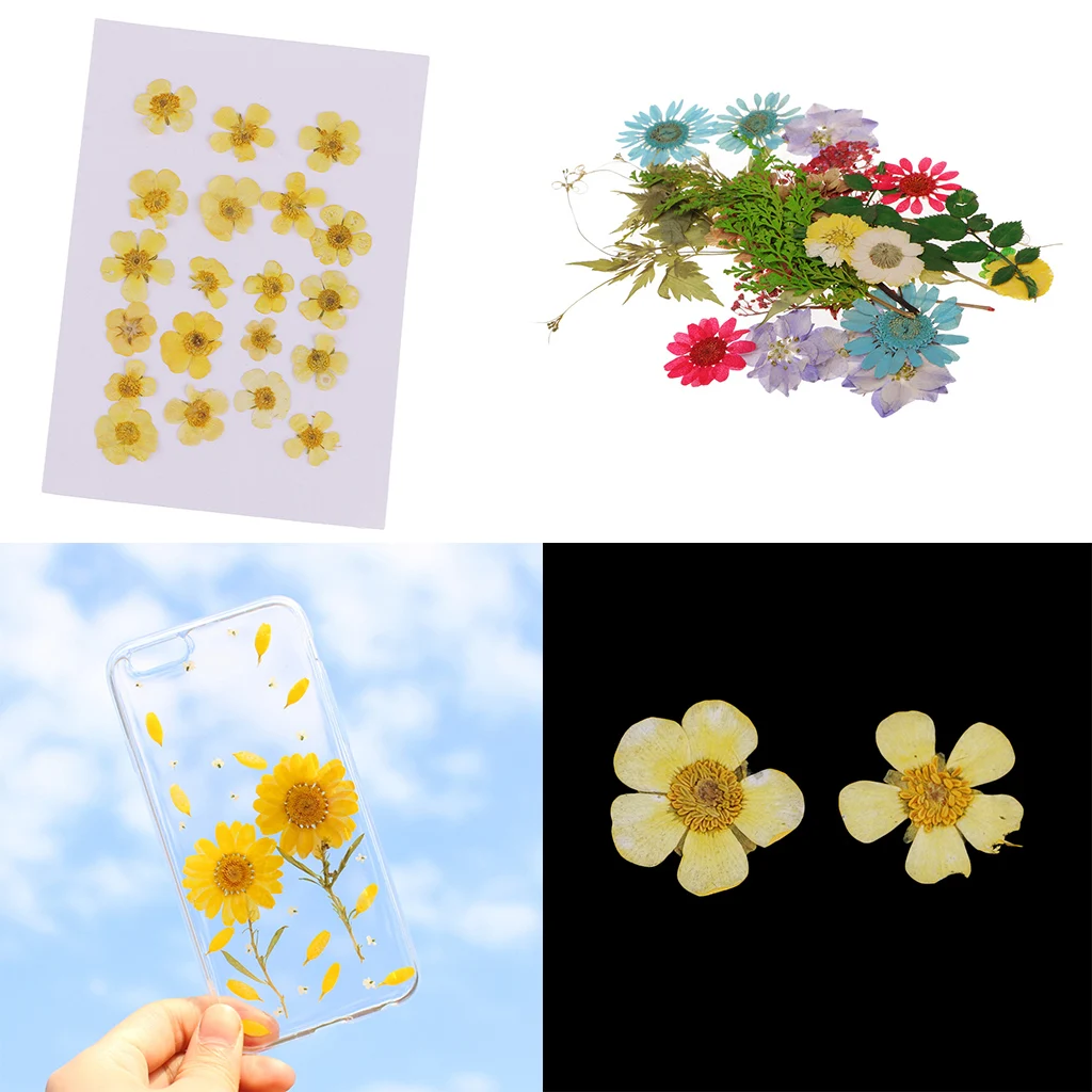 Pack of 50pcs Natural Dried Flower Real Flower Mixed For DIY Resin Ornament Craft Card Making Scrapbooking Embellishments