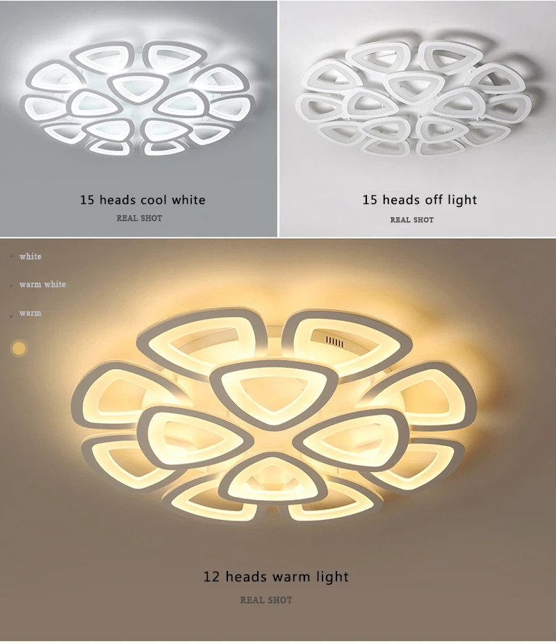 20190228_110301_063