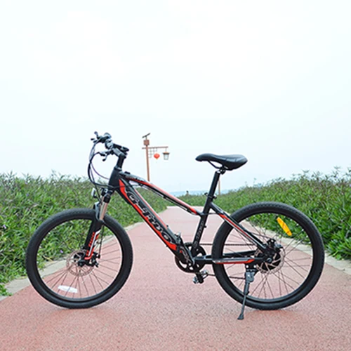 24 дюйма Электрический велосипед горный велосипед, 7 Скорость дисковый тормоз, 250 Вт 36В тормозной Батарея, полный, невидимый дизайн, высокотехнологичные Алюминий рамка - Цвет: Black 250W 36V10.5Ah