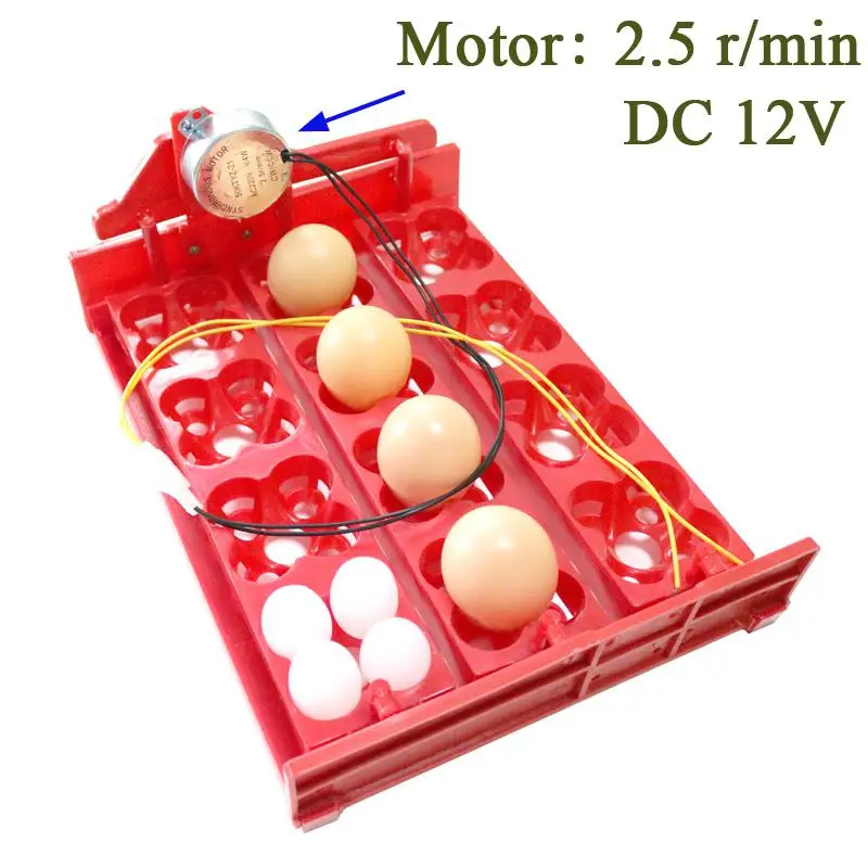 Мини инкубатор для разных яиц птиц на 220 вольт - Цвет: 12V DC motor