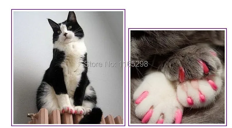 Много 100 шт Мягкие кошачьи лапки для ногтей для домашних животных лапы для контроля когтей+ 5 шт Клей