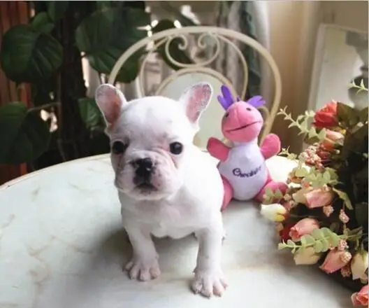 HTB1wTUQKeuSBuNjy1Xcq6AYjFXaP