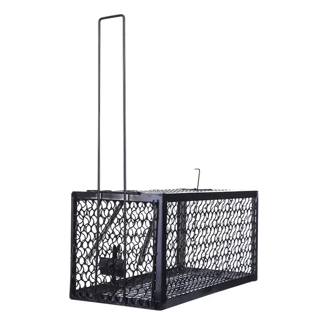 Buy Rat Cage Mice Rodent Animal Control Catch Bait