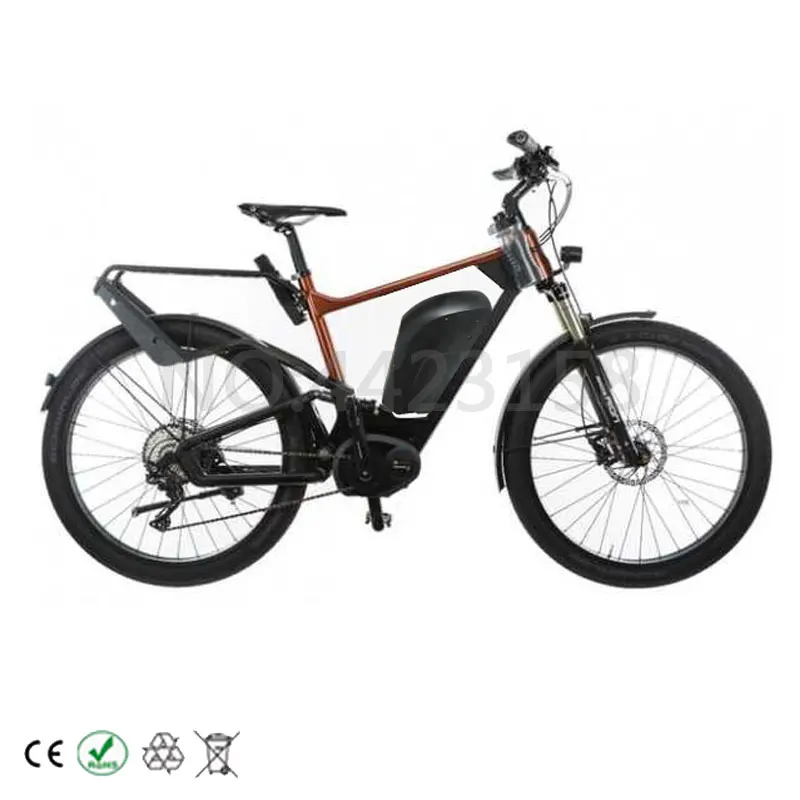 ebike1