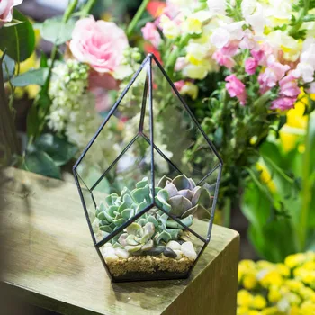

Garden Artistic Four-surfaces Terrarium Vase Geometric Planter Pot for Succulents Flower Tabletop Decorative Glass Terrarium
