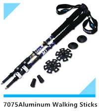 tp1004 01b walking sticks_