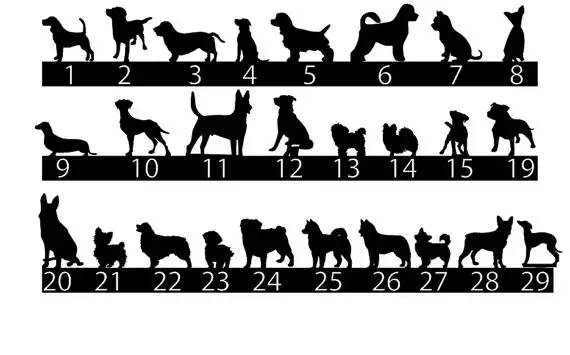 Unique Wedding Cake Topper Dog Cake Toppers With Groom Lifting