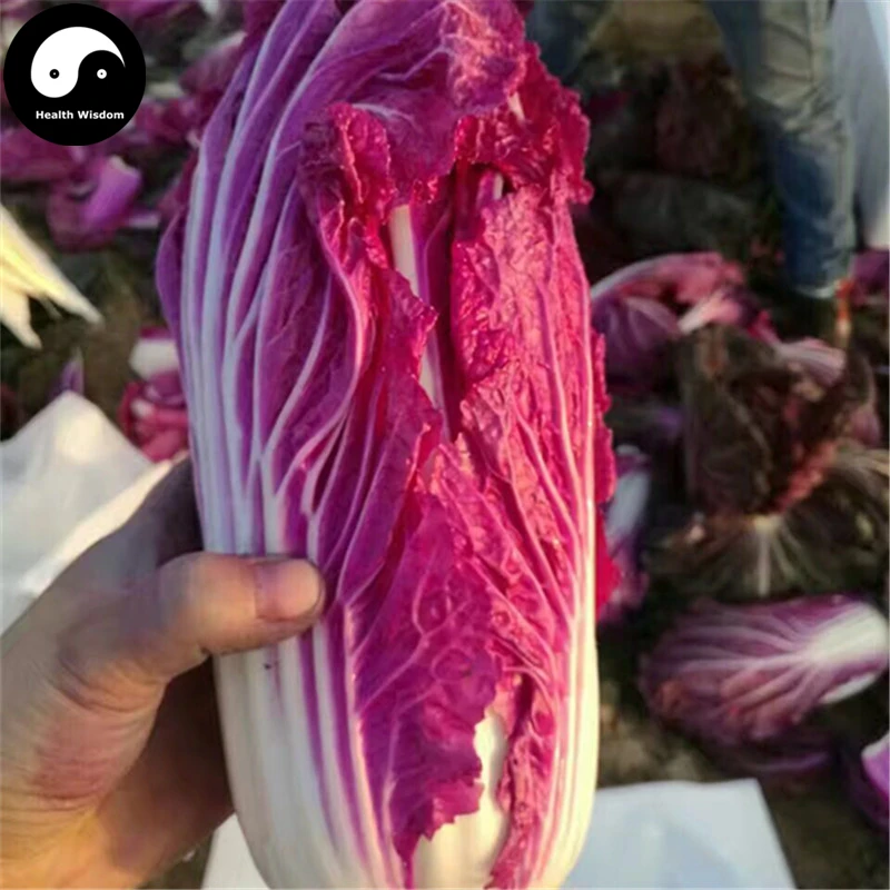 Buy Cabbage Vegetables Semente 400pcs Plant Chinese Purple Leaf Brassica Pekinensis