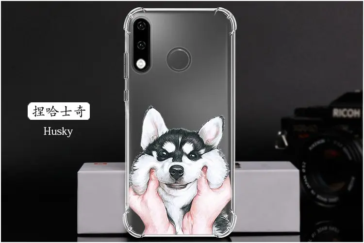  Husky