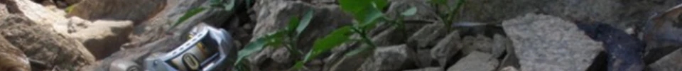 ENG_49