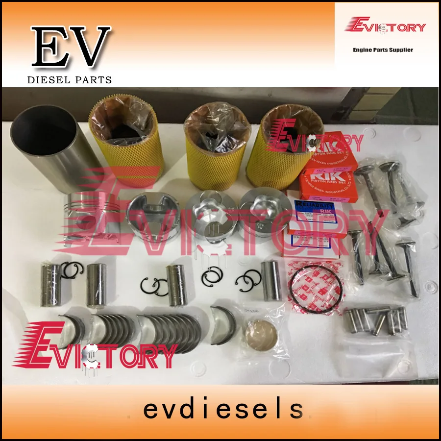 4TN100 rebuild kit