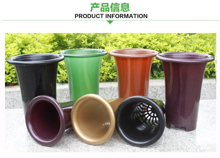 Buy Plastic orchid pots King No. bluegrass Cymbidium