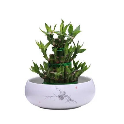 

Dropshipping Chinese Style Hydroponics Ceramic Flower Pot,Balcony Green Plant Flower Pots,pots for flowers,bonsai plant pots