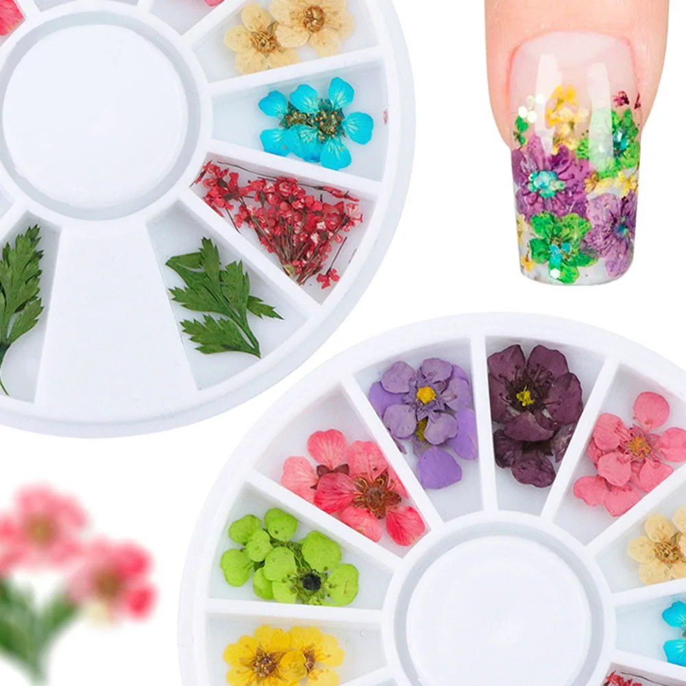 3D натуральный сухой высушенный цветок для ногтей искусство УФ Гель-лак прессованный Цветок Цветение Украшение DIY Дизайн Маникюр украшения для ногтей в колесо