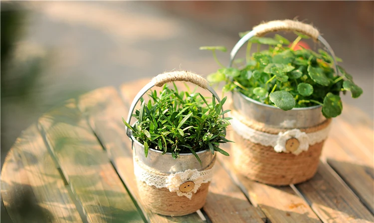 Metal Pot Garden Vintage Contryside (12)