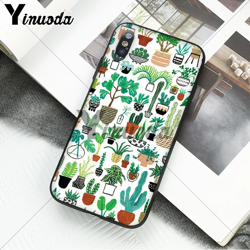 Awesome Cacti Cactus