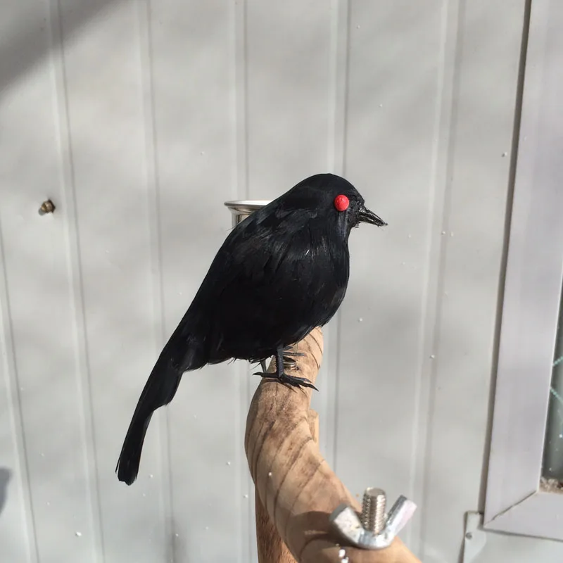 stuffed black bird