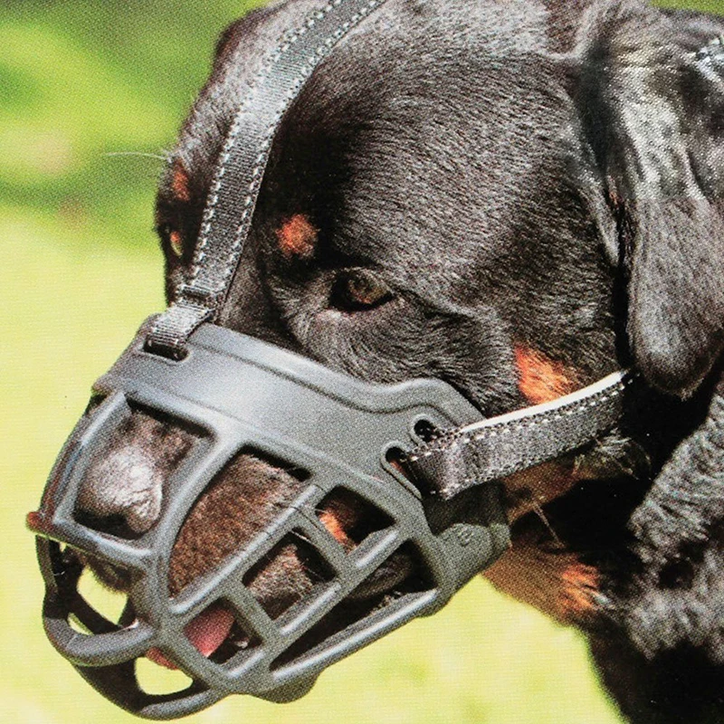 muzzle to stop licking