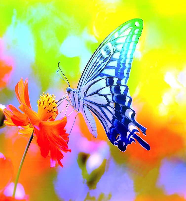 

7 Color Butterfly Foamiran flowers Diamond Embroidery Almaznaya Mosaic Set for Embroidery Stitch Diamond Painting Cross Stitch