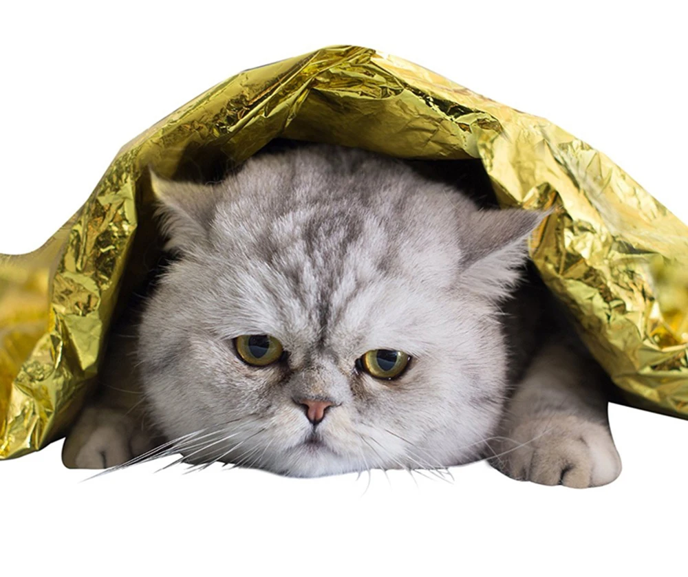 HTB1WxJnXU_rK1Rjy0Fcq6zEvVXak