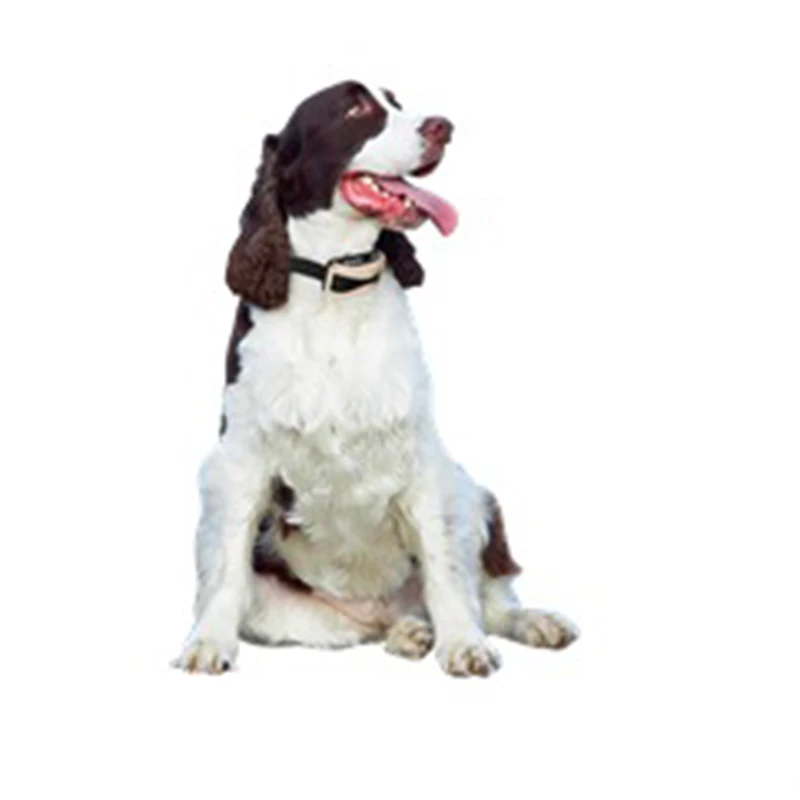 Electronic Automatic Dog Training Collars Stop Barking Collar With LED Digital Display Vibration Charging Electric Shock Collars6