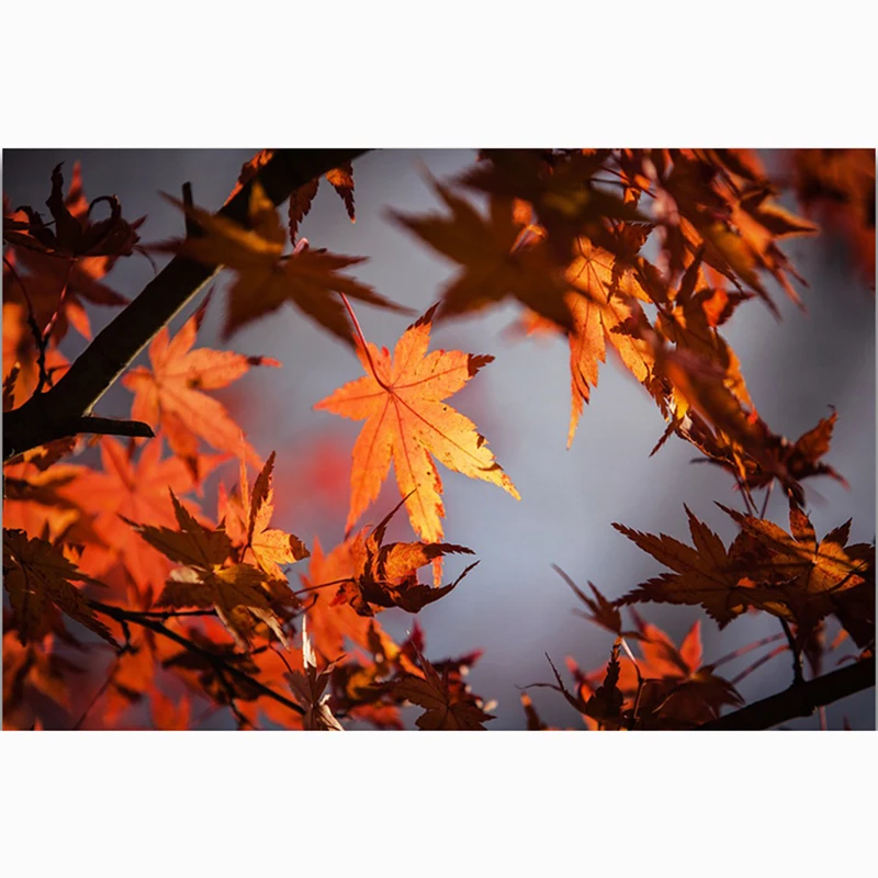 

5D DIY Full Square Diamond Painting Cross Stitch "Yellow maple leaf" 3D Diamond Embroidery Rhinestone Mosaic Home Decor Gift