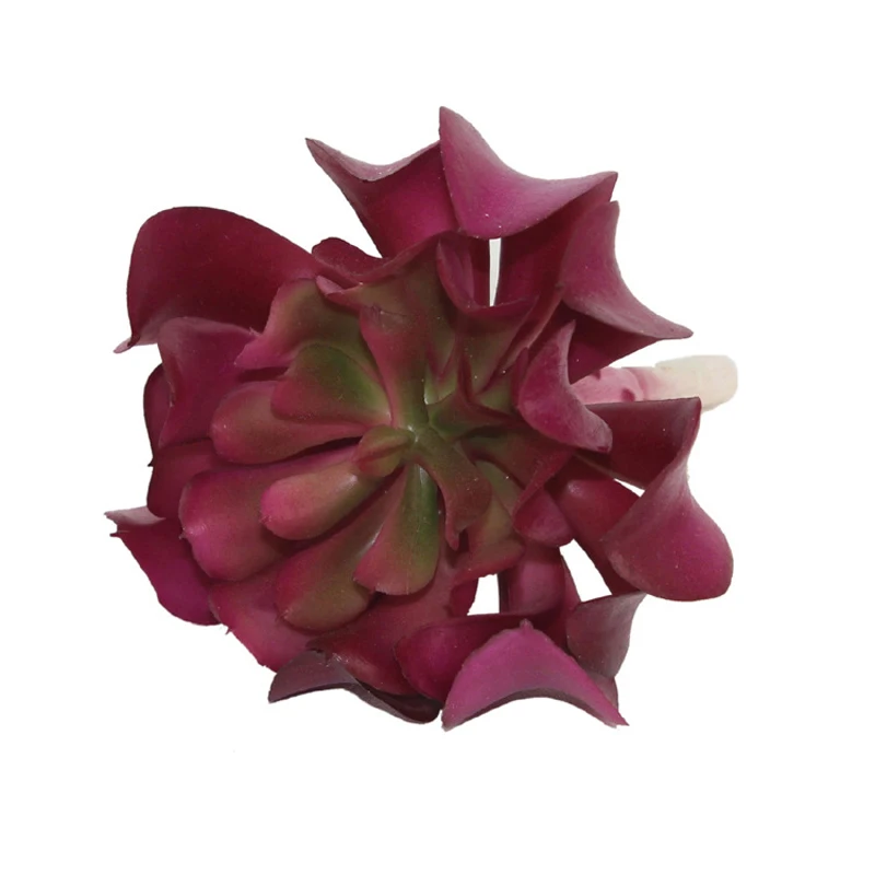 3135237592_369283519