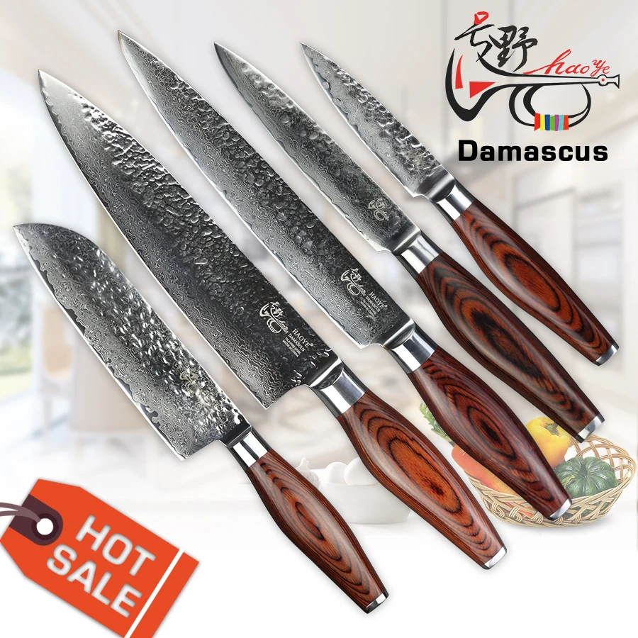 HAOYE 5 piece damascus kitchen knives set Japanese vg10 steel Quality slicer Dicing Mincing Universal cutter