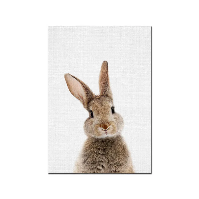 Кроличий хвост настенная художественная картина лесное животное холст плакат для детской печати Минималистичная картина скандинавский декор для детской комнаты - Цвет: Picture 1