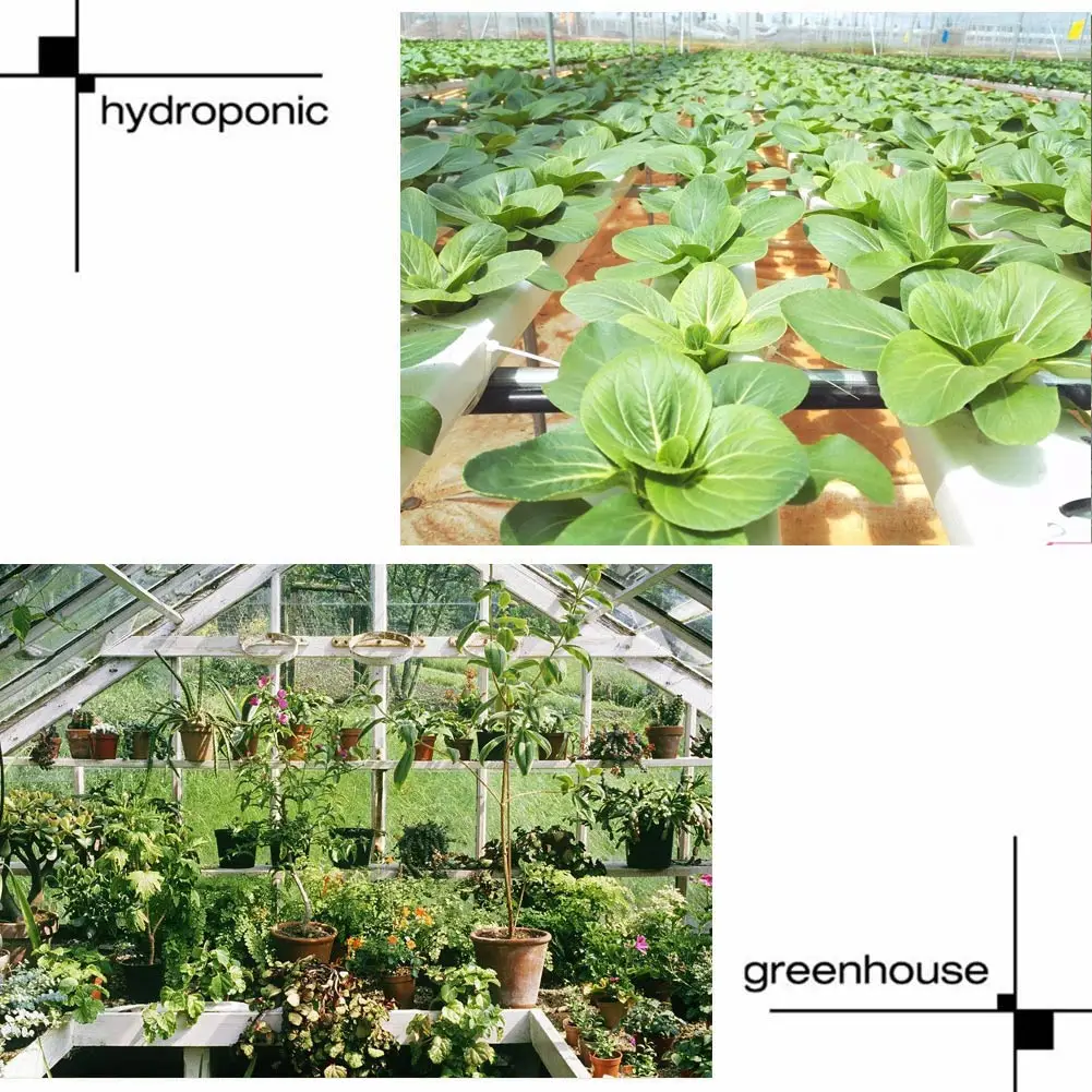 

Newest LED Plant Grow Light Lamp Full Spectrum 45W For Greenhouse Gardening Indoor Hydroponics