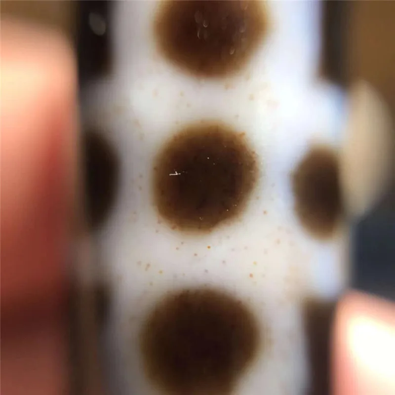 _20190226004222