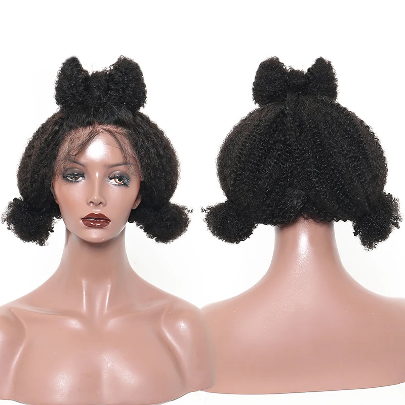 Afro Kinky Curly Human Hair Wig  