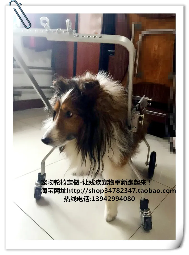 New pet font b wheelchair b font dog font b wheelchair b font paralyzed dog scooter