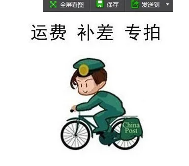

special link for balance amount & extra fee shipping, if you want fast shipping way, please pay for it