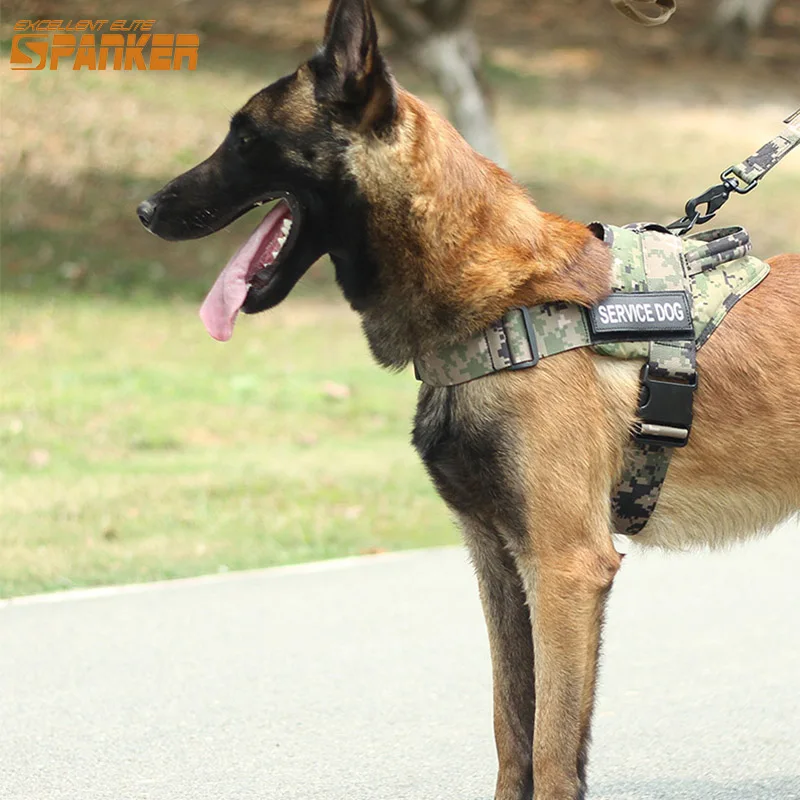 elite dog harness