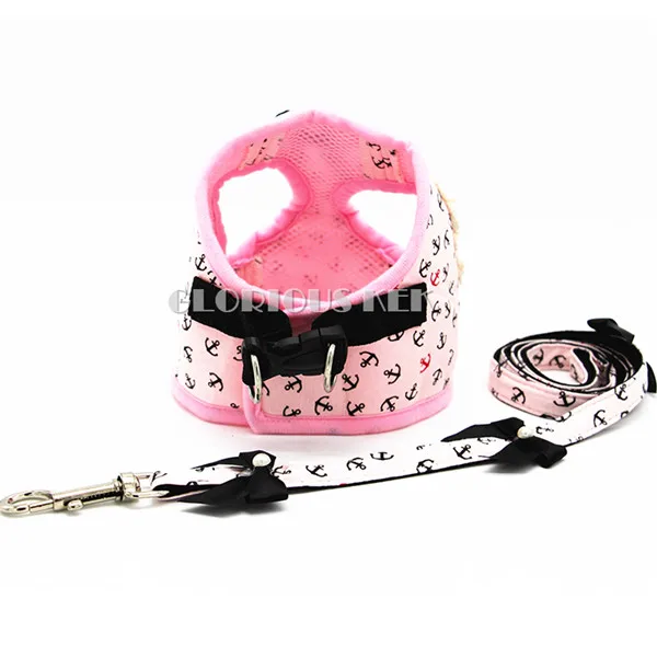 Dog Harness and Leash Set (2)