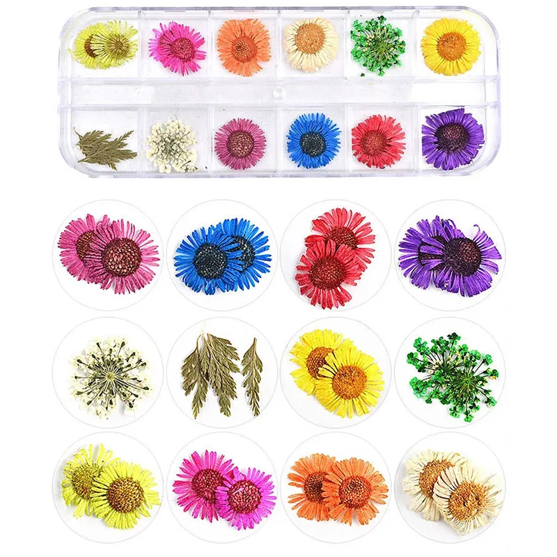 

1Box 3 Mix Style Dried Flowers Decoration Natural Floral Sticker 3D Dry Beauty Nail Art Decals Epoxy Mold DIY Filling Jewelry