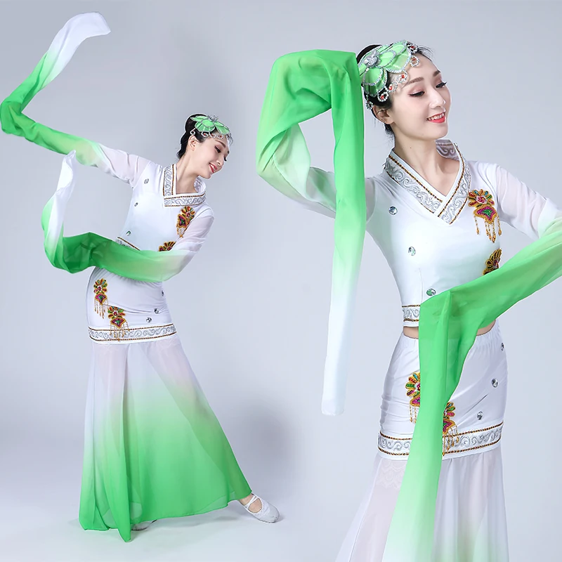 

New 2019 The New Dance Costume Sleeves Classical Dance Performances of Classical Chinese Clothing Dunhuang Costume