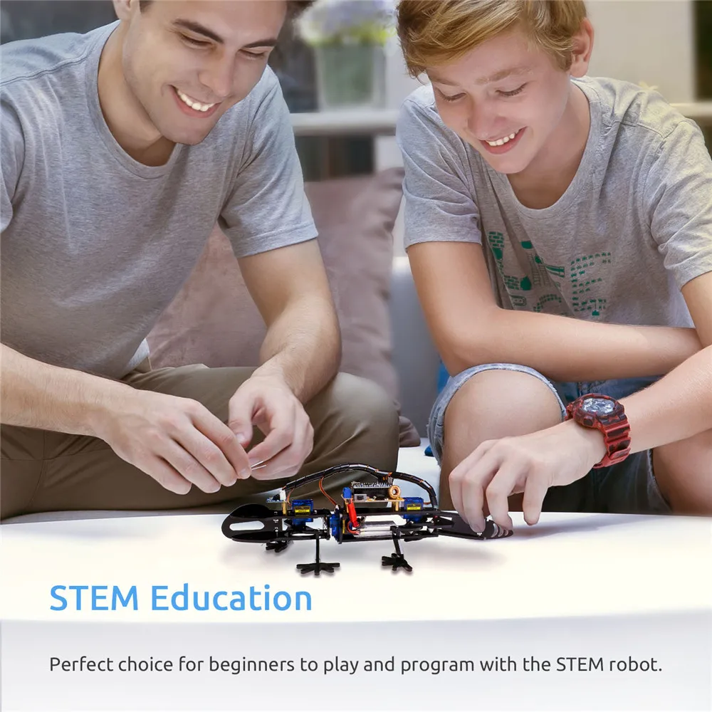 DIY Educational Robot  (4)