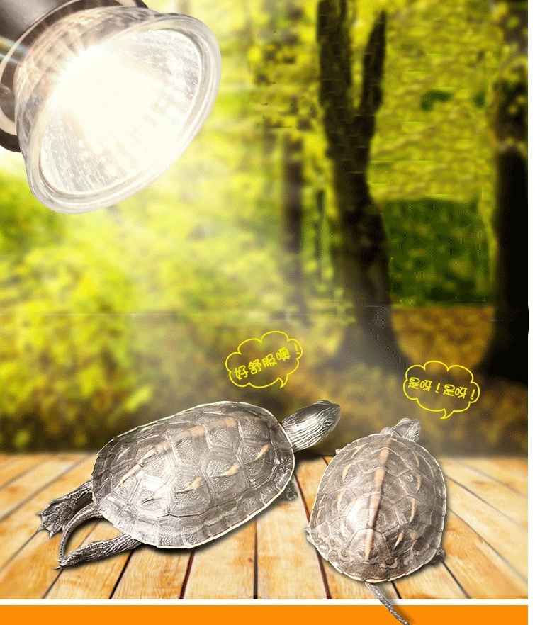 

110V 220V EU USplug Repitle adjust light quartz UVA&UVB Heating back Turtle Lizard Lamp Temperature Control Thermometer aquarium