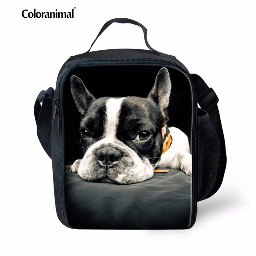 Coloranimal Children School Picnic Lunch Bag Boys Girls Thermal Lunch