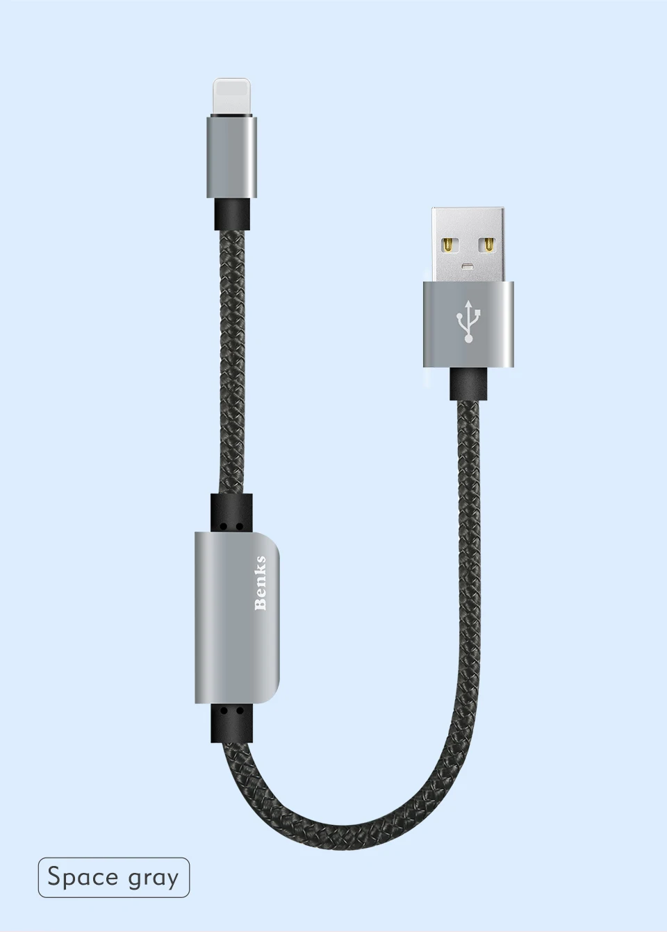 Lightning Audio Adapter Cable (12)