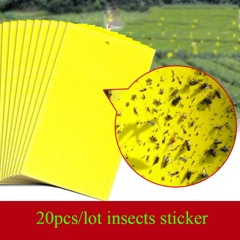 20pcs/lot Sided PVCStrong Flies Traps Bed Bugs Sticky Board Catching Aphid Insects Killer