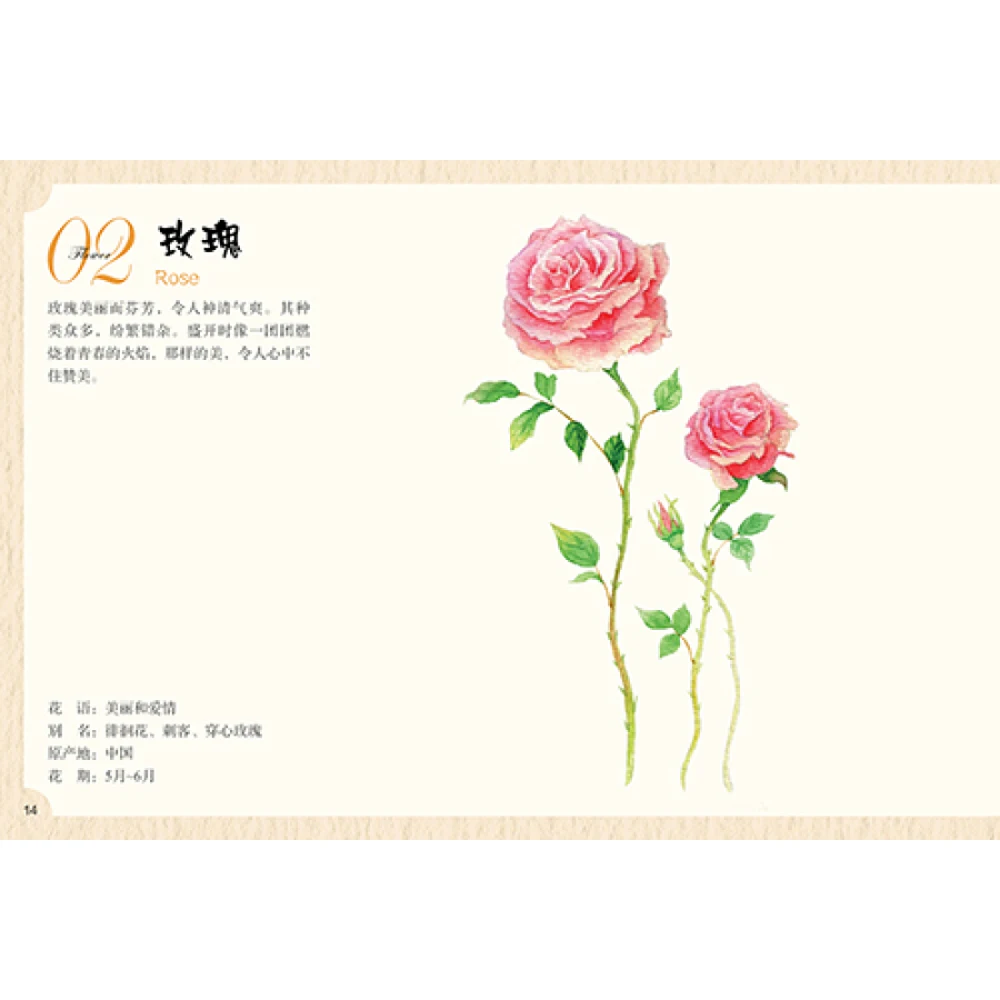 5407dfcbN93193f5d