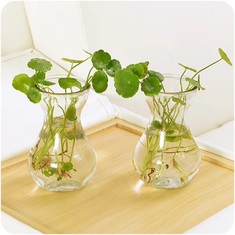 

Nordic Decoration HomeTransparent Vase Glass Bottle Creativity Green Plant Container Desktop Place Adorn Home Furnishing Article