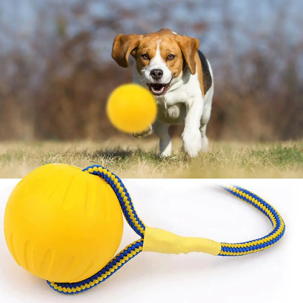 

Pet Dog Training Ball Funny Bite Resistant Chew Toy With Rope