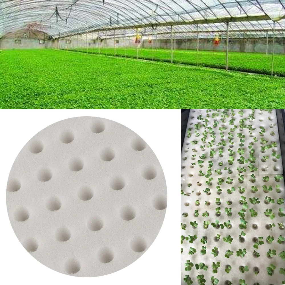 

Nursery Sponge Hydroponic Vegetable Cultivation Plant Soilless Planting Seedlings Sponge Soilless Cultivation 1 Pack(64/100Pcs)