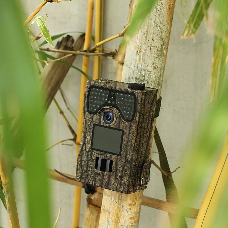 

Hunting Camera 720P High Definition Waterproof Wide Angle Monitoring Camcorder Wildlife Trail Observing Camera Video Up to 32G T