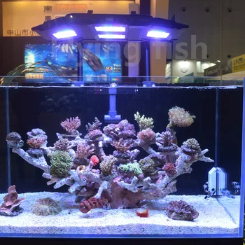

CYREX A1 aquarium light 152W Full spectrum plants or seawater coral LED lights simulate sunrise and sunset with phone APP